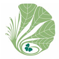 shamrockgreenshotel